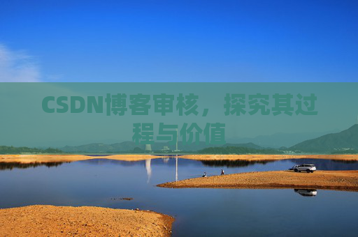 CSDN博客审核，探究其过程与价值
